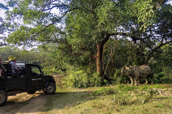 Night Stay in Chitwan National Park, 2 Nights 3 Days Package - Accessibility and Health Considerations