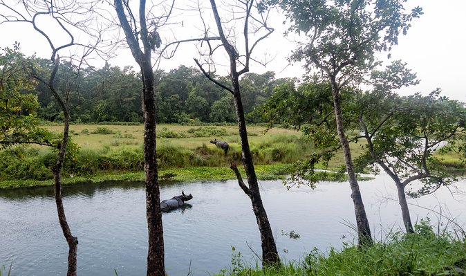 Night Stay in Chitwan National Park, 2 Nights 3 Days Package - Frequently Asked Questions