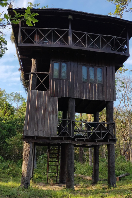 Night Stay in Jungle Tower 2 Nights Package at Chitwan - Itinerary Details