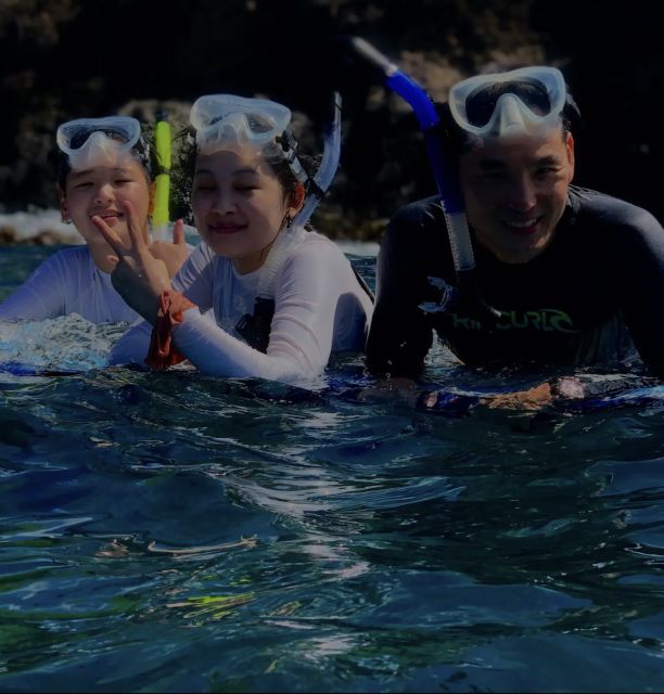 Night Time Snorkel At Turtle Town With Lights And Stars - Directions to Meeting Point