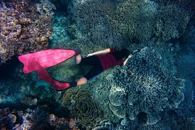 Night-Time Snorkel at Turtletown With Stars, Lights, and Photos - Highlights and Key Features