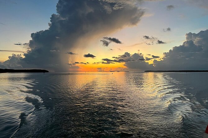 Night Tour Glass Bottom Boat in Islamorada - Booking Information