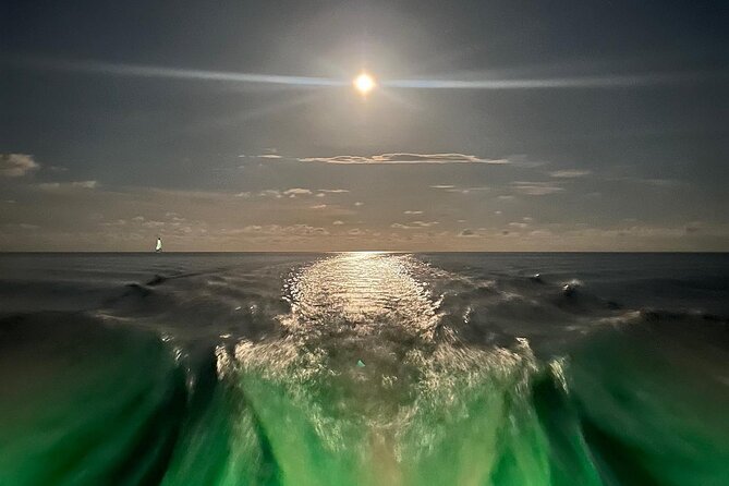 Night Tour Glass Bottom Boat in Islamorada - Review Highlights
