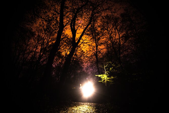 Night Tour in Hoia Baciu Forest - Location and Accessibility