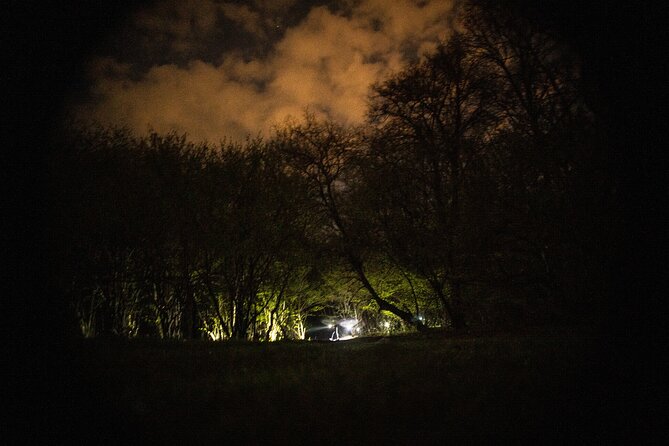 Night Tour in Hoia Baciu Forest - Health Considerations