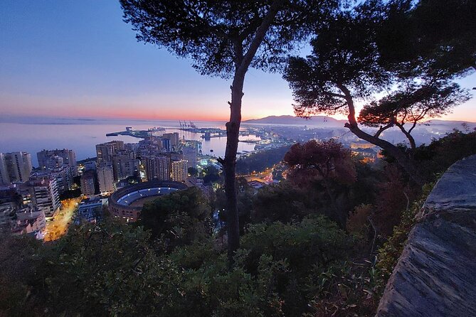 Night Tour in Malaga by Electric Car.Enjoy the Sunset - Guided City Exploration
