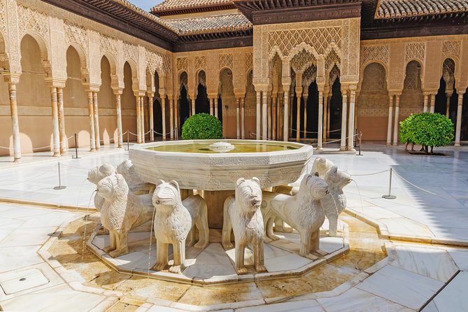 Night Tour of the Alhambra and the Nasrid Palaces - Guest Reviews and Testimonials