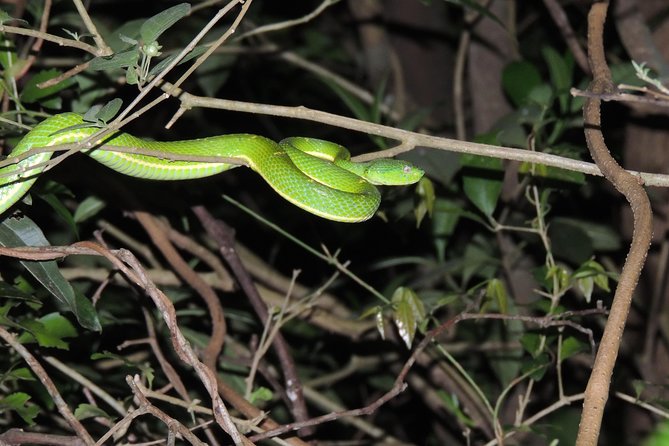 Night Tour Santa Marias Park. - Cancellation Policy