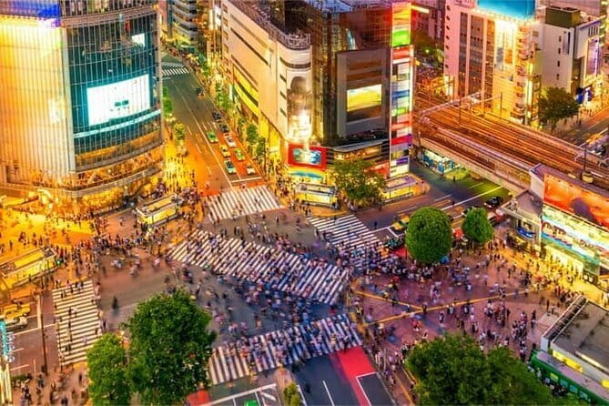 Night Tour Tokyo in Shinjuku - Pickup Information