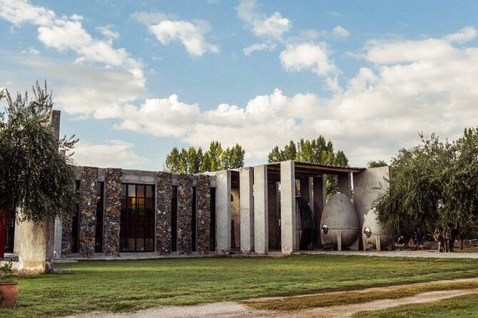Night Visit to Los Toneles Winery + Dinner at El Enemigo. Transportation Included - Winery Tastings