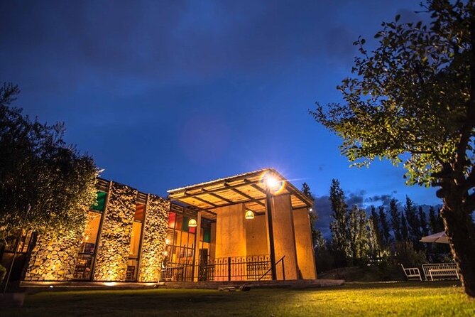 Night Visit to Los Toneles Winery + Dinner at El Enemigo. Transportation Included - Key Points