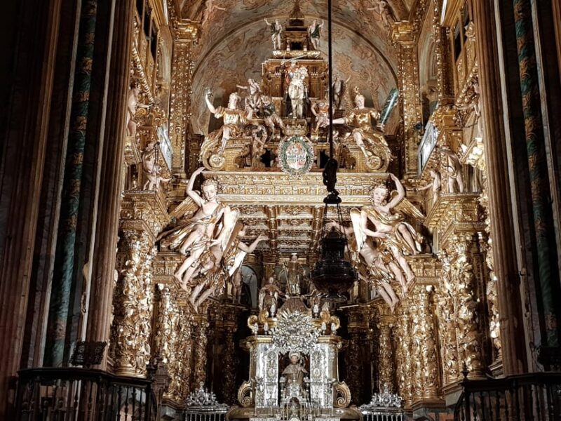 Night Visit to Santiago Cathedral and Portico of Glory - Accessibility