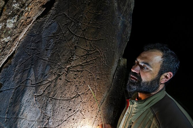 Night Visit to the Engravings of Foz Côa in a 4x4 Between Douro and Côa - Key Points