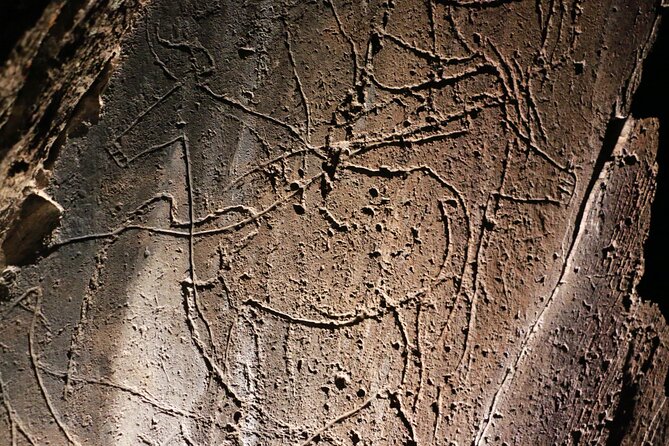 Night Visit to the Engravings of Foz Côa in a 4x4 Between Douro and Côa - Group Size and Accessibility