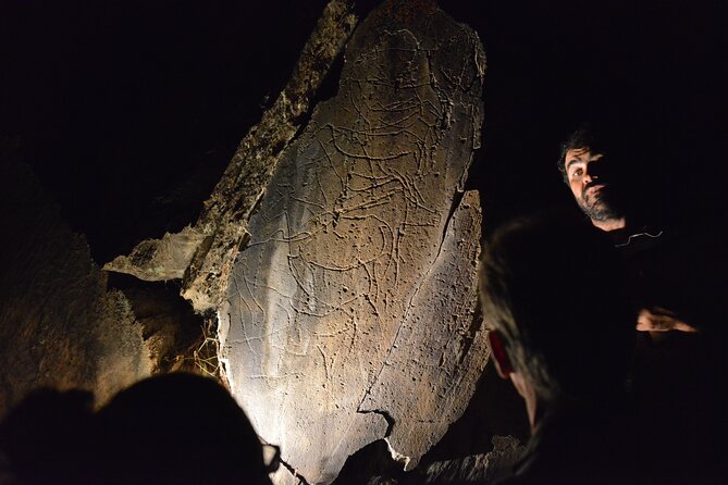 Night Visit to the Engravings of Foz Côa in a 4x4 Between Douro and Côa - Highlights of the Rock Art