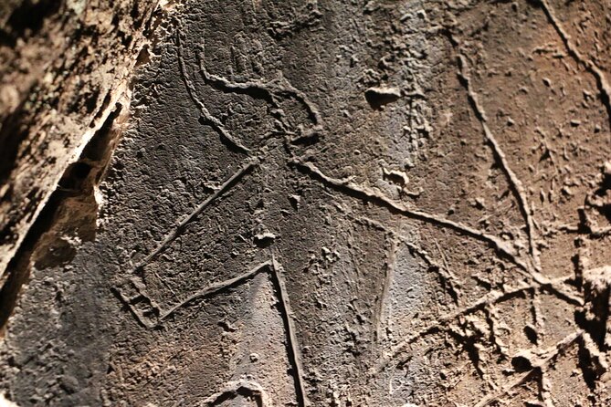 Night Visit to the Engravings of Foz Côa in a 4x4 Between Douro and Côa - Guide and Feedback