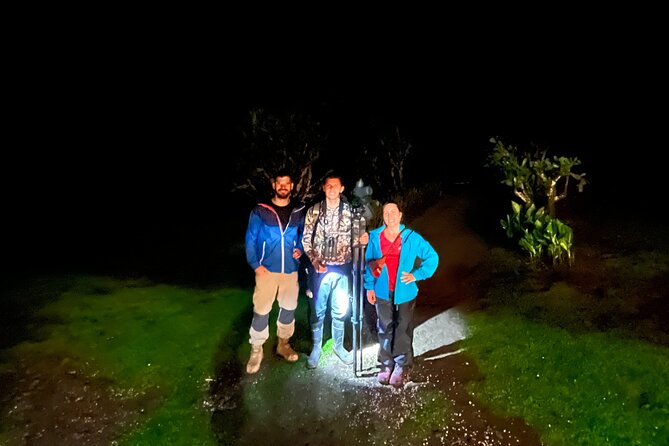 Night Walk Among the Natural Jewels of Monteverde - Exploring Monteverde at Night