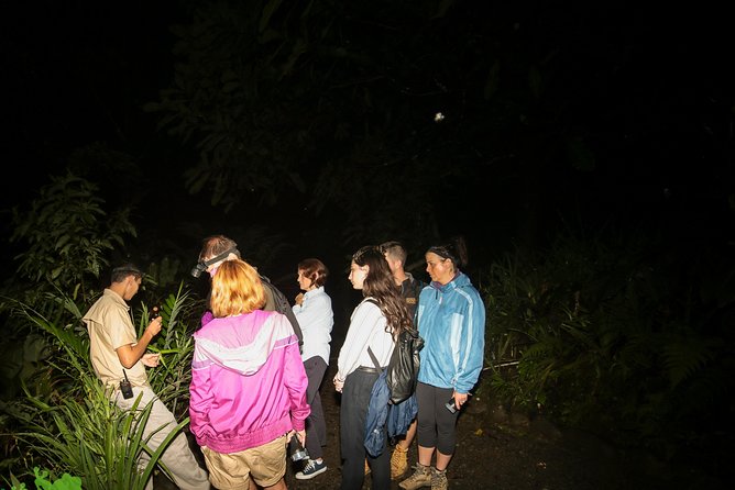 Night Walk Experience at Natura Eco Park, (Frogs Snakes Mammals Insects Birds) - Sensory Experience of the Forest