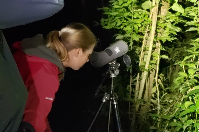 Night Walk Experience in Wildlife Refuge Monteverde - Overview of the Experience