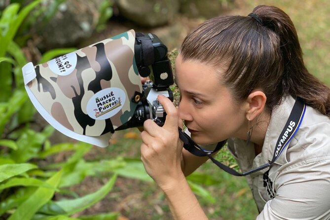 Night Walk in Cairns Botanic Gardens - Lets Go Buggin - Tour Group Size