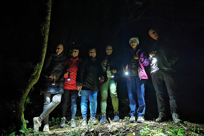 Night Walk in the Monteverde Cloud Forest. - Key Points