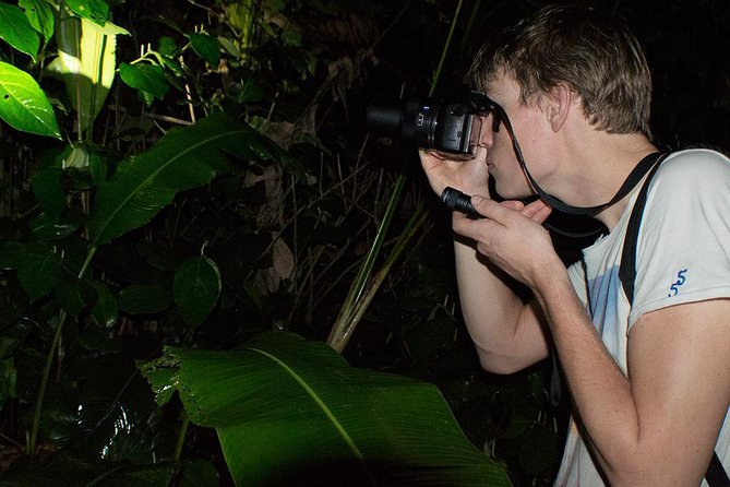 Night Walk in Tortuguero - Location and Duration