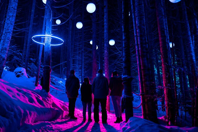 Night Zipline + Vallea Lumina Multimedia Night Walk - Additional Information