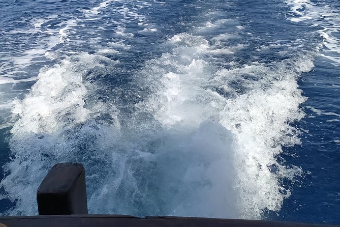 Nightly Squid Fishing - Private Tour - Booking Information