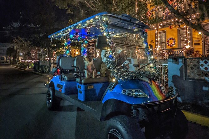 Nights of Lights Private Golf Cart Tour for up to 5 People! - Exploring St. Augustines Historic District