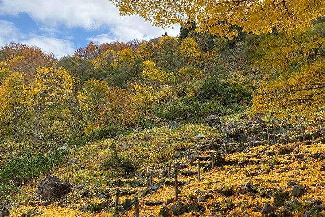 Niigata Custom Full Day Tour - Confirmation and Accessibility