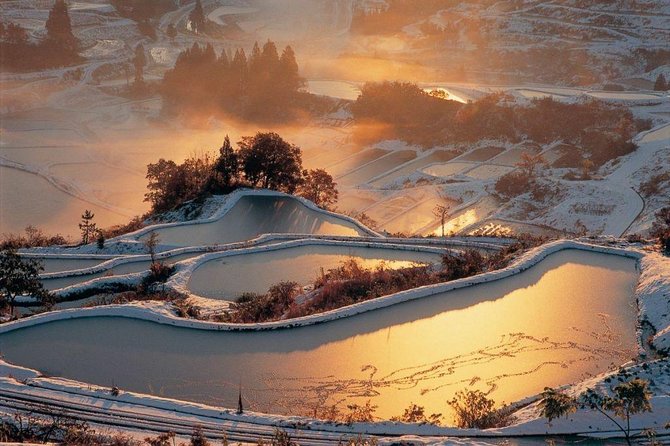 Niigata Full-Day Private Tour With Government-Licensed Guide - Meeting and Pickup