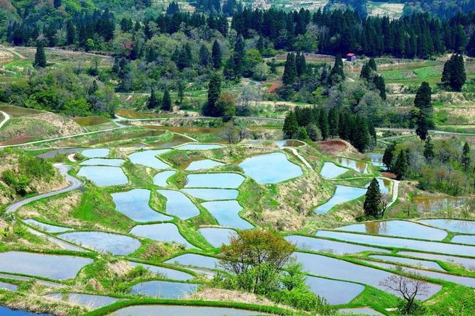 Niigata Private Artistry Tour - Small Handicraft Souvenir