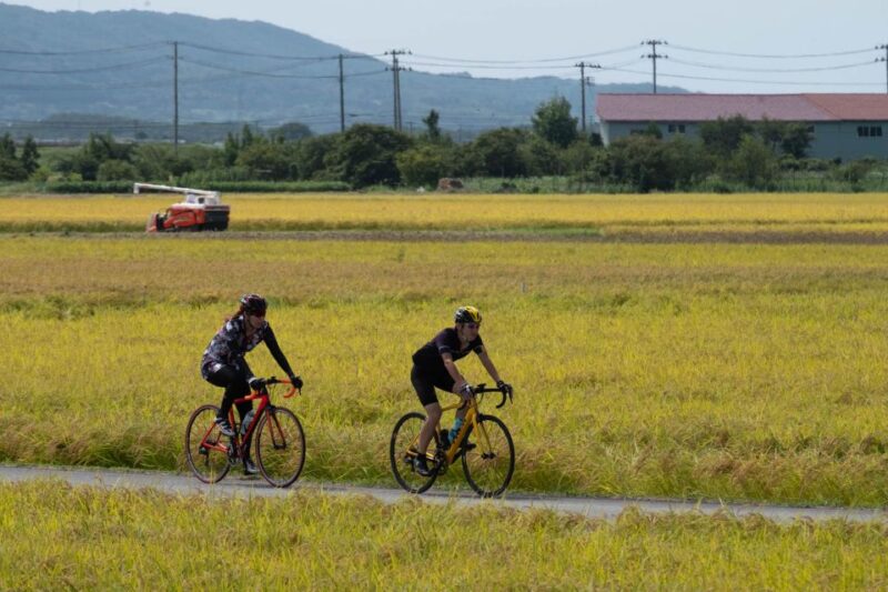 Niigata: Sado Island E-Bike or Crossbike Rental - Rental Costs and Booking