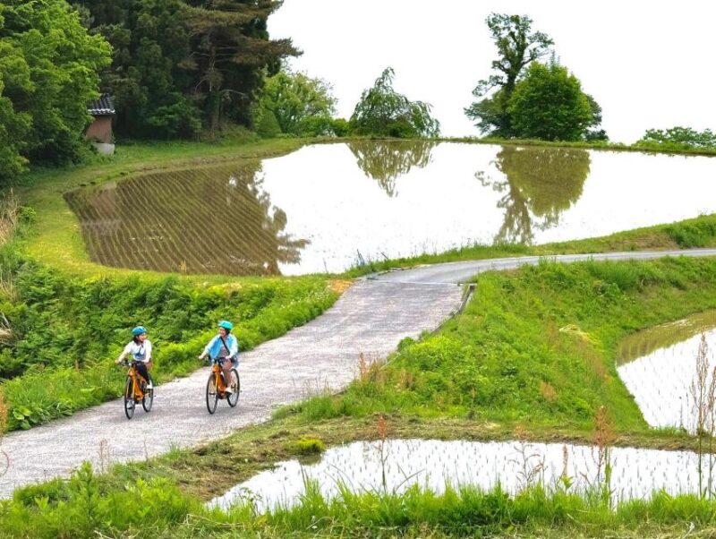 Niigata: Sado Island E-Bike or Crossbike Rental - Rental Duration and Availability