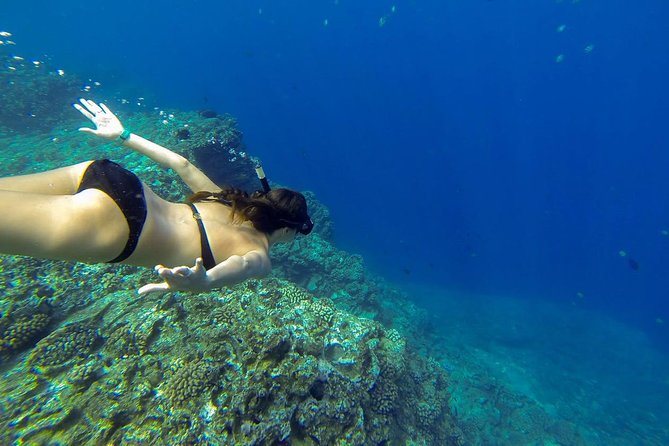 Niihau and Na Pali Coast Snorkel Boat Tour - Additional Information