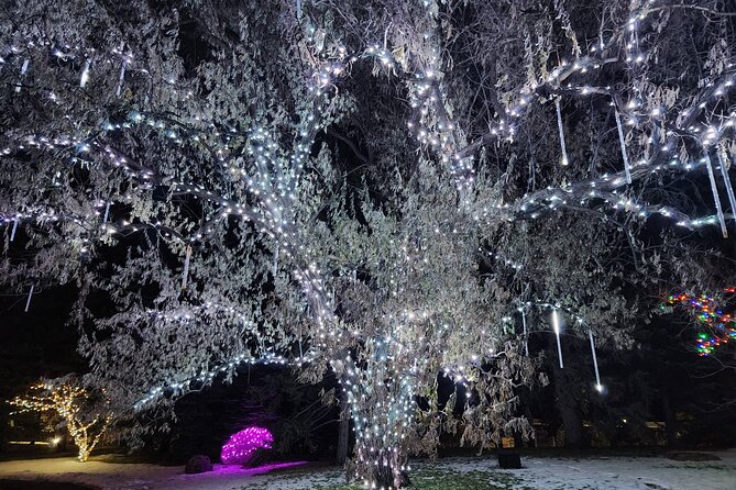 Nikka Yuko Japanese Garden Winter Light Festival - Cultural Programs and Performances