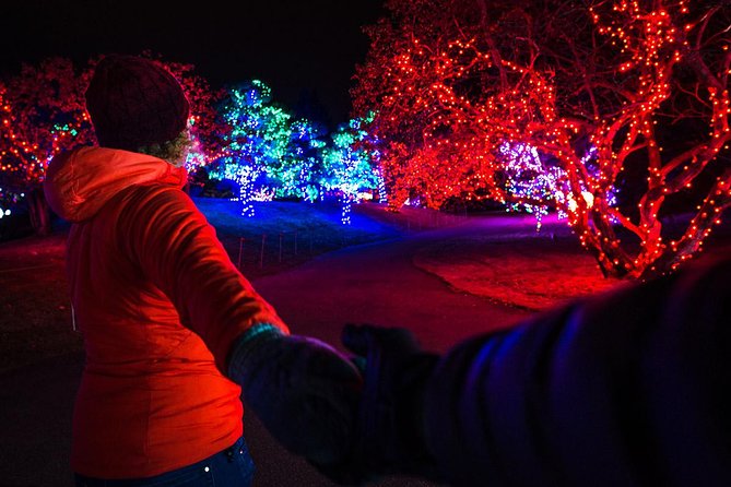 Nikka Yuko Japanese Garden Winter Light Festival - Additional Dome and Ride Experiences