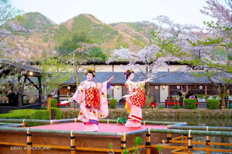 Nikko: Autumn Foliage, Edo Wonderland, & Fireworks Tour - Inclusions