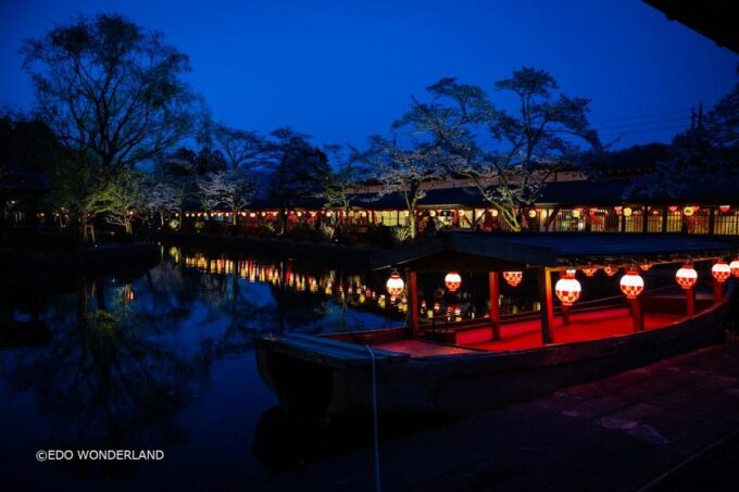 Nikko: Autumn Foliage, Edo Wonderland, & Fireworks Tour - Nikko Toshogu Shrine