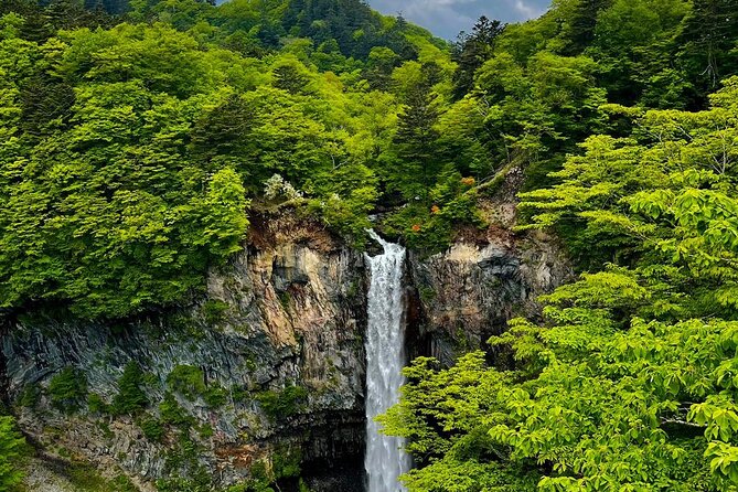 Nikko City Private Sightseeing Tour With English Speaking Driver - Accessibility