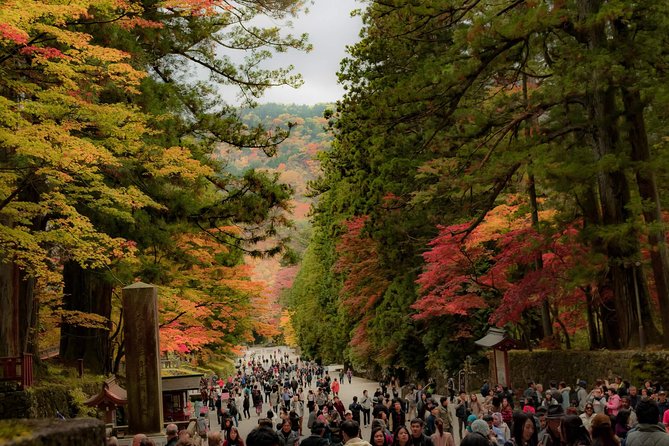 Nikko Custom Full Day Tour - Cancellation Policy