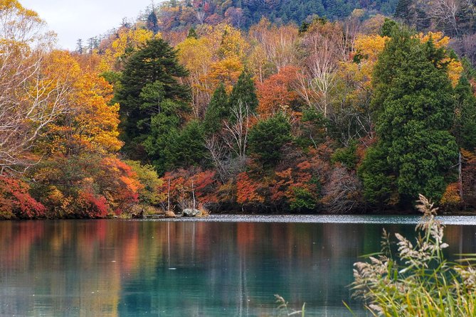 Nikko Custom Half Day Tour - Meeting and Pickup Details