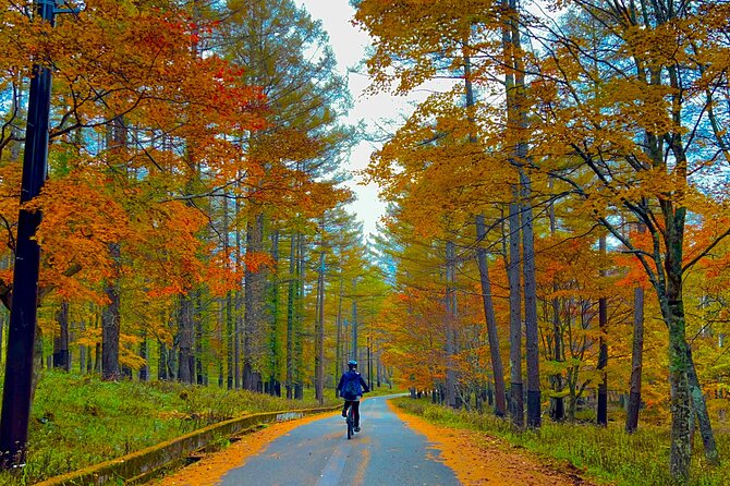 Nikko Cycling Tour With Local Guide - Meeting and End Points
