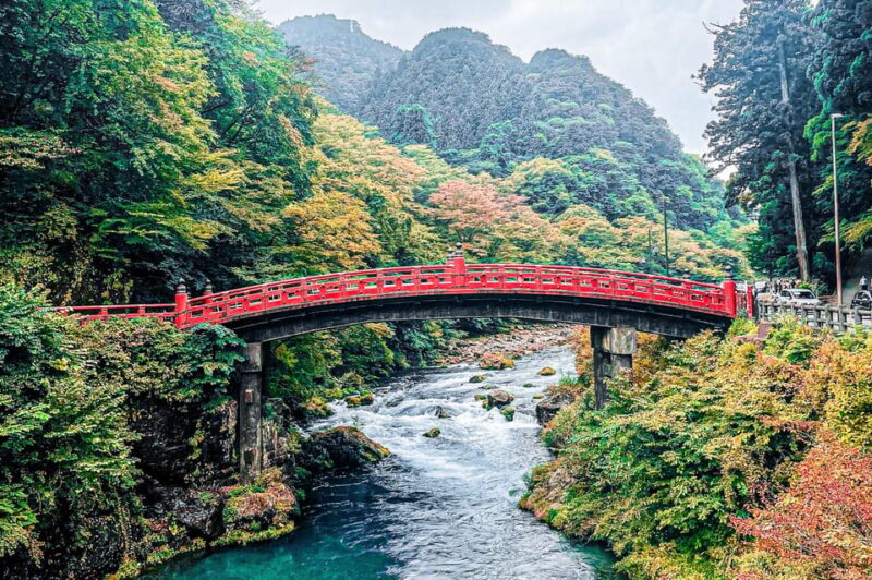 Nikko: Day Tour From Tokyo in Spanish - Spanish - Tour Features