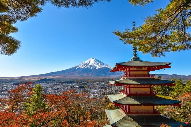 Nikko Full Day Customize Private Tour - Accessibility and Health Considerations