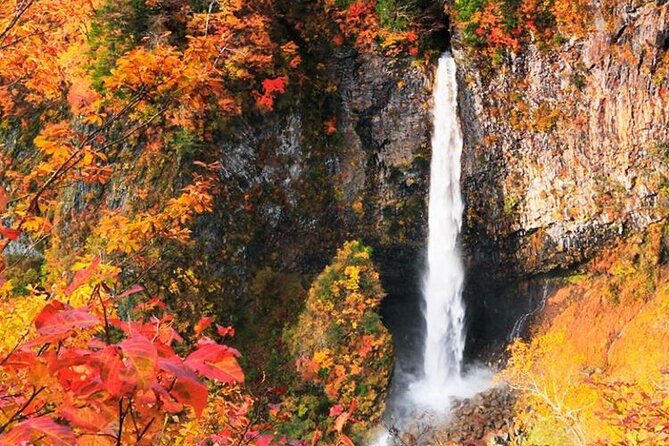 Nikko Full Day Private Tour Driver or Guide - Confirmation and Booking