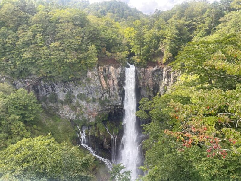 Nikko Full Day Private Tour With English Speaking Driver - Nikko Toshogu Shrine