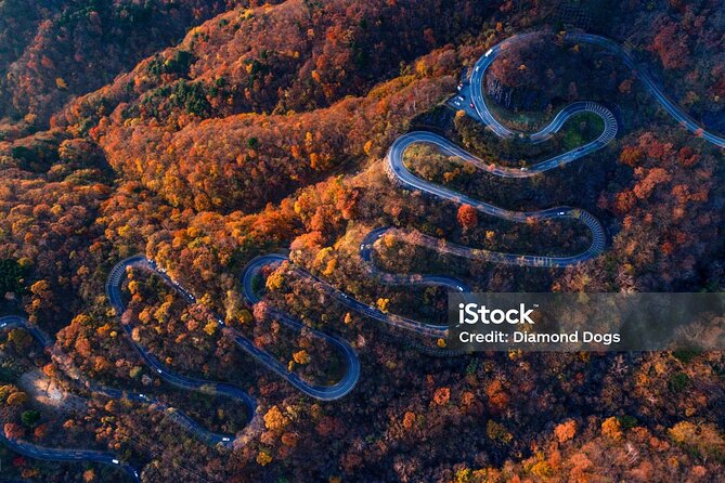 Nikko Full Day Private Tour With English Speaking Driver - Accessibility and Participation