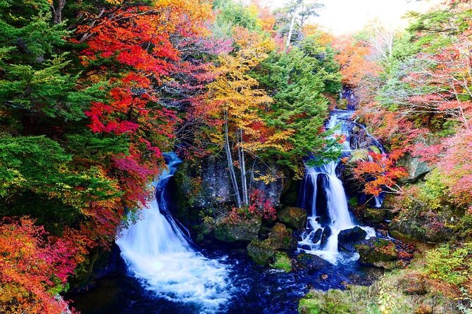 Nikko Full Day Private Tour With English Speaking Driver - Key Points