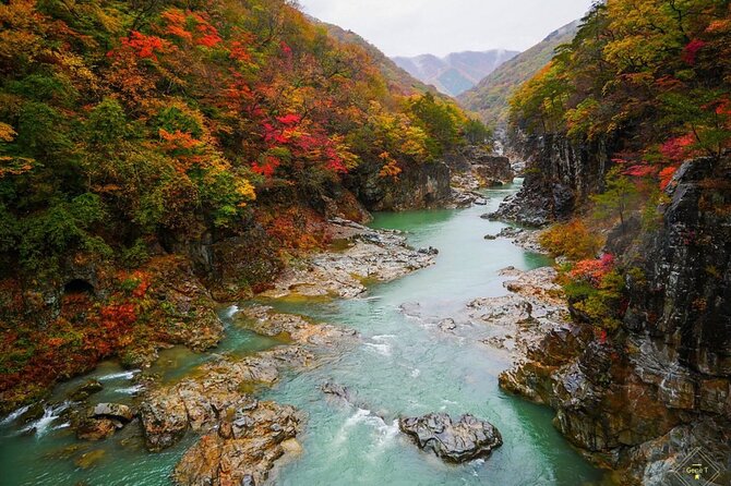 Nikko Full Day Private Tour With English Speaking Driver - Customization Options
